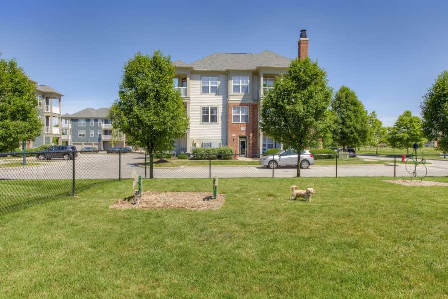 Fenced dog park at The District at Saxony Apartment Homes